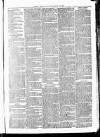 Clare Advertiser and Kilrush Gazette Saturday 04 December 1880 Page 7