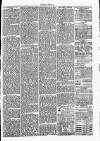 Clare Advertiser and Kilrush Gazette Saturday 29 January 1881 Page 3