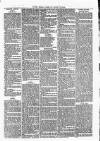 Clare Advertiser and Kilrush Gazette Saturday 29 January 1881 Page 7