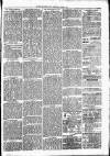 Clare Advertiser and Kilrush Gazette Saturday 12 March 1881 Page 3