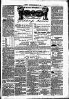 Clare Advertiser and Kilrush Gazette Saturday 12 March 1881 Page 5
