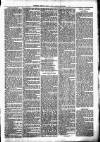 Clare Advertiser and Kilrush Gazette Saturday 12 March 1881 Page 7