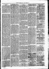 Clare Advertiser and Kilrush Gazette Saturday 26 March 1881 Page 3