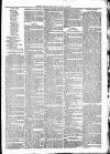 Clare Advertiser and Kilrush Gazette Saturday 13 August 1881 Page 7