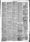Clare Advertiser and Kilrush Gazette Saturday 03 December 1881 Page 3