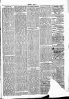 Clare Advertiser and Kilrush Gazette Saturday 21 January 1882 Page 3
