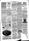 Clare Advertiser and Kilrush Gazette Saturday 21 January 1882 Page 5