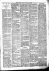 Clare Advertiser and Kilrush Gazette Saturday 21 January 1882 Page 7