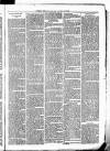 Clare Advertiser and Kilrush Gazette Saturday 28 January 1882 Page 7