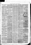 Clare Advertiser and Kilrush Gazette Saturday 25 February 1882 Page 3