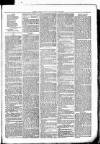 Clare Advertiser and Kilrush Gazette Saturday 25 February 1882 Page 7