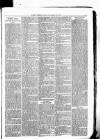 Clare Advertiser and Kilrush Gazette Saturday 25 March 1882 Page 7