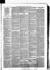 Clare Advertiser and Kilrush Gazette Saturday 29 April 1882 Page 7