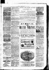 Clare Advertiser and Kilrush Gazette Saturday 27 May 1882 Page 5