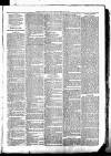 Clare Advertiser and Kilrush Gazette Saturday 27 May 1882 Page 7