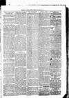 Clare Advertiser and Kilrush Gazette Saturday 03 June 1882 Page 3