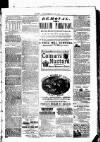 Clare Advertiser and Kilrush Gazette Saturday 03 June 1882 Page 5