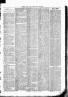 Clare Advertiser and Kilrush Gazette Saturday 03 June 1882 Page 7