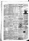 Clare Advertiser and Kilrush Gazette Saturday 03 June 1882 Page 8