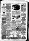 Clare Advertiser and Kilrush Gazette Saturday 01 July 1882 Page 5