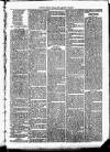 Clare Advertiser and Kilrush Gazette Saturday 15 July 1882 Page 7