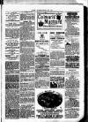 Clare Advertiser and Kilrush Gazette Saturday 29 July 1882 Page 5