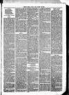 Clare Advertiser and Kilrush Gazette Saturday 29 July 1882 Page 7