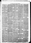 Clare Advertiser and Kilrush Gazette Saturday 12 August 1882 Page 3