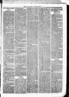 Clare Advertiser and Kilrush Gazette Saturday 12 August 1882 Page 7