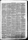 Clare Advertiser and Kilrush Gazette Saturday 02 September 1882 Page 3