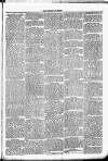 Clare Advertiser and Kilrush Gazette Saturday 09 September 1882 Page 3