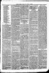Clare Advertiser and Kilrush Gazette Saturday 09 September 1882 Page 7