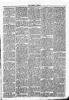 Clare Advertiser and Kilrush Gazette Saturday 30 September 1882 Page 3