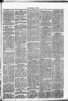 Clare Advertiser and Kilrush Gazette Saturday 07 October 1882 Page 3