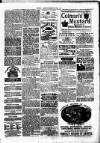 Clare Advertiser and Kilrush Gazette Saturday 04 November 1882 Page 5