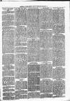 Clare Advertiser and Kilrush Gazette Saturday 11 November 1882 Page 3