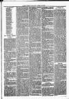 Clare Advertiser and Kilrush Gazette Saturday 11 November 1882 Page 7