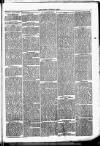 Clare Advertiser and Kilrush Gazette Saturday 02 December 1882 Page 3