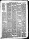 Clare Advertiser and Kilrush Gazette Saturday 16 December 1882 Page 7