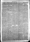Clare Advertiser and Kilrush Gazette Saturday 13 January 1883 Page 3