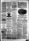 Clare Advertiser and Kilrush Gazette Saturday 13 January 1883 Page 5