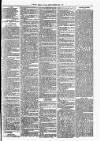 Clare Advertiser and Kilrush Gazette Saturday 02 February 1884 Page 7