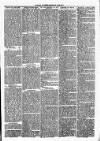 Clare Advertiser and Kilrush Gazette Saturday 01 March 1884 Page 3