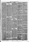 Clare Advertiser and Kilrush Gazette Saturday 29 March 1884 Page 3