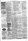 Clare Advertiser and Kilrush Gazette Saturday 23 August 1884 Page 5