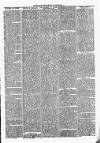 Clare Advertiser and Kilrush Gazette Saturday 15 November 1884 Page 3