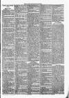 Clare Advertiser and Kilrush Gazette Saturday 15 November 1884 Page 7