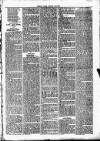 Clare Advertiser and Kilrush Gazette Saturday 21 February 1885 Page 7