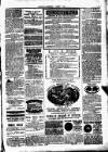 Clare Advertiser and Kilrush Gazette Saturday 28 February 1885 Page 5