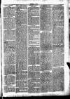 Clare Advertiser and Kilrush Gazette Saturday 07 March 1885 Page 2